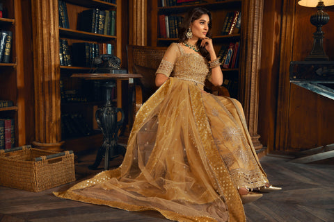 Woman in embellished gold formal dress seated in a library, LA ELISE Pakistani fashion